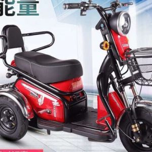 xe đạp điện ba bánh