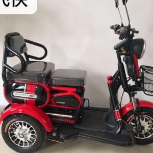 Xe điện 3 bánh 2 chỗ ngồi