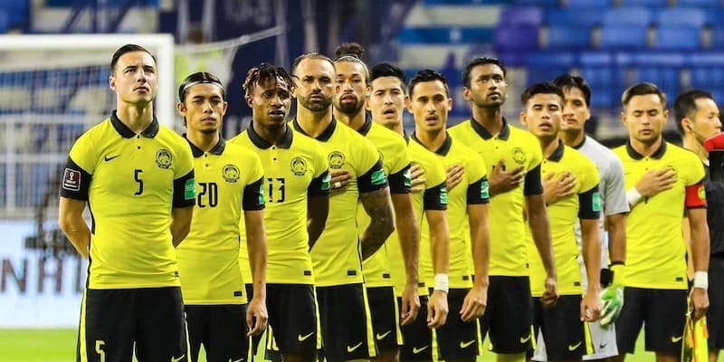 Đội tuyển quốc gia Malaysia: Lịch sử phát triển của bóng đá Những chú hổ Malaysia