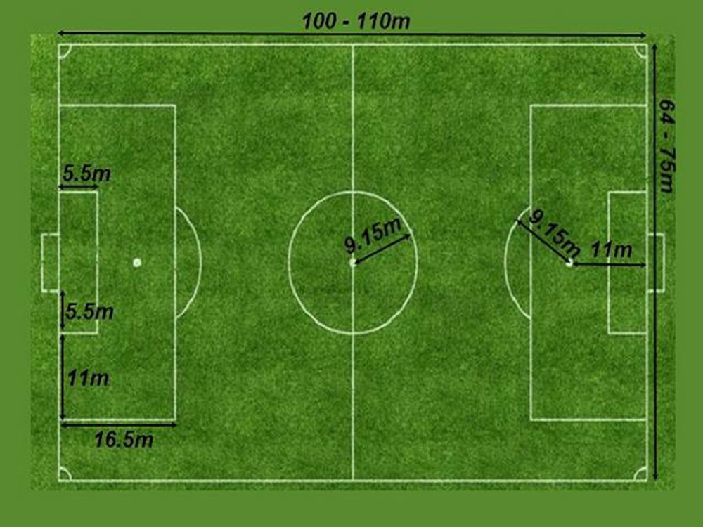 Kích thước sân bóng: 7 người, 5 người, 11 người
