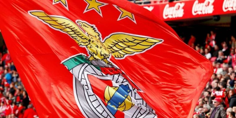 Quá trình xây dựng Benfica và tin tức nóng hổi