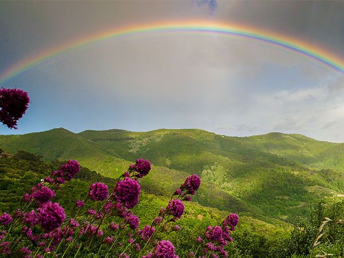 Giải thích hiện tượng cầu vồng là gì? Cầu vồng có mấy màu trong thực tế?